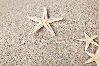 PS4美少女麻将游戏《Two Jong Sell》八折优惠